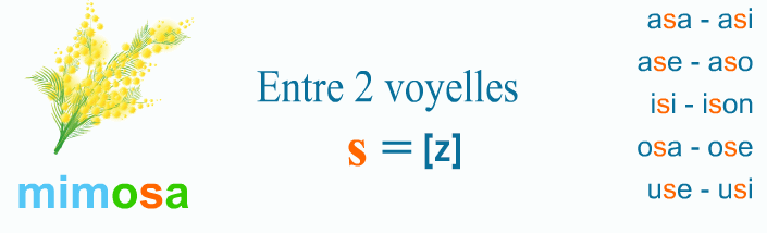 Lecture, s = [z]