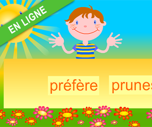 Exercices interactifs, reconstituer les phrases