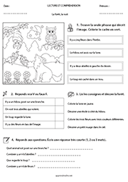 Lecture et compréhension, la forêt, la nuit